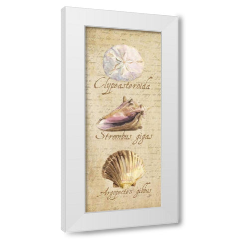 Oceanum Shell Panel Beige I White Modern Wood Framed Art Print by Reed, Tara