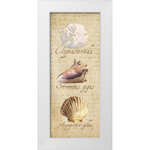 Oceanum Shell Panel Beige I White Modern Wood Framed Art Print by Reed, Tara