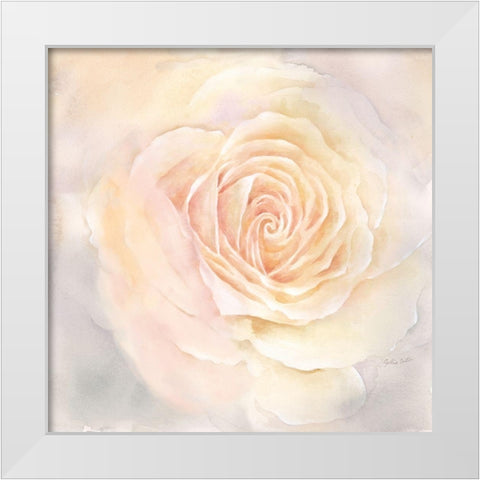 Blush Rose Closeup III White Modern Wood Framed Art Print by Coulter, Cynthia