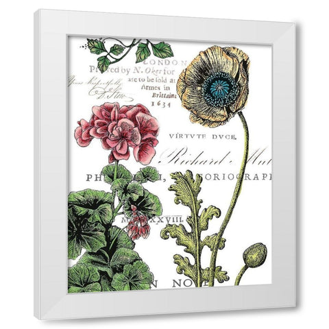 Botanical Postcard Color III White Modern Wood Framed Art Print by Cusson, Marie Elaine