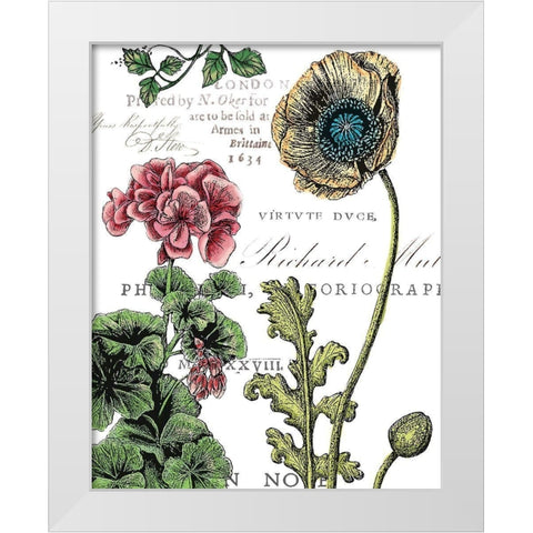 Botanical Postcard Color III White Modern Wood Framed Art Print by Cusson, Marie Elaine