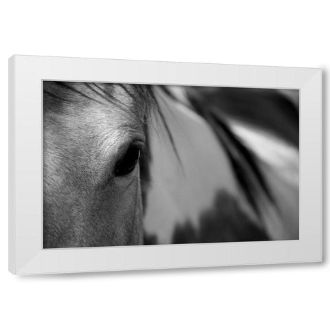 One Eye White Modern Wood Framed Art Print by Tyrrell, Lu Anne