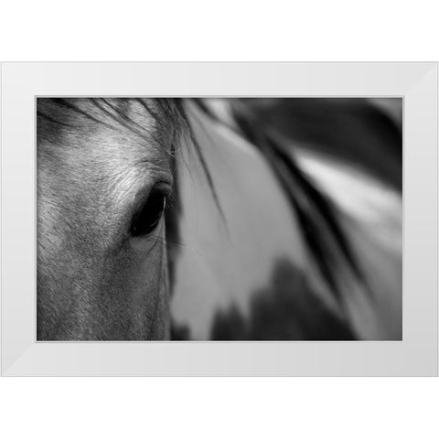 One Eye White Modern Wood Framed Art Print by Tyrrell, Lu Anne