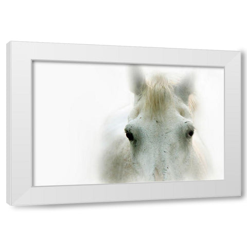 Blanco White Modern Wood Framed Art Print by Tyrrell, Lu Anne