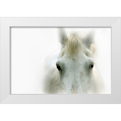 Blanco White Modern Wood Framed Art Print by Tyrrell, Lu Anne