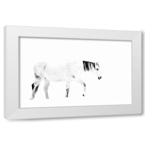 Equine White Modern Wood Framed Art Print by Tyrrell, Lu Anne