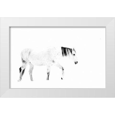 Equine White Modern Wood Framed Art Print by Tyrrell, Lu Anne