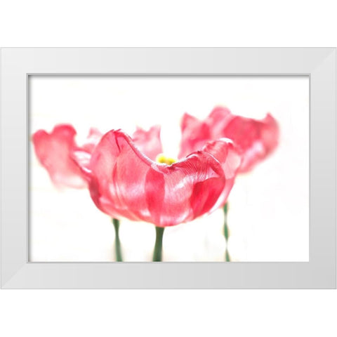 Three Tulips White Modern Wood Framed Art Print by Tyrrell, Lu Anne