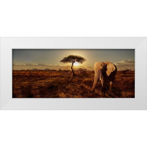 Elephant and Tree White Modern Wood Framed Art Print by Michal, Susan