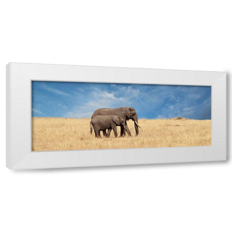 Elephant and her Calf White Modern Wood Framed Art Print by Michal, Susan