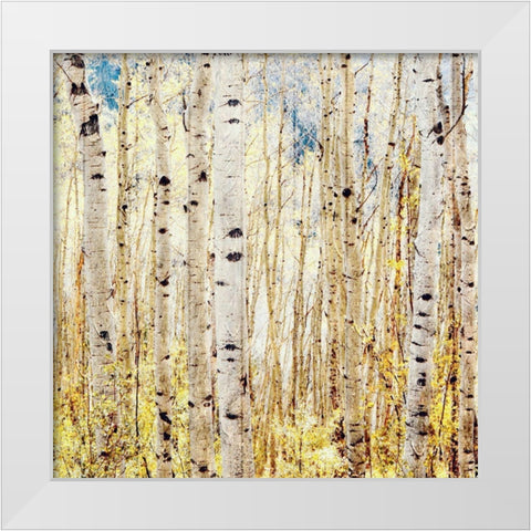 Birch Grove White Modern Wood Framed Art Print by Tyrrell, Lu Anne