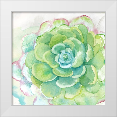 Sweet Succulents IV White Modern Wood Framed Art Print by Coulter, Cynthia