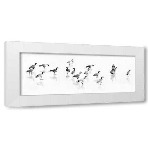 Flock of Canada Geese White Modern Wood Framed Art Print by Tyrrell, LuAnne
