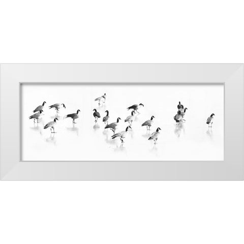 Flock of Canada Geese White Modern Wood Framed Art Print by Tyrrell, LuAnne