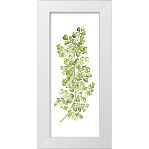 Botanical Fern Single IV White Modern Wood Framed Art Print by Tre Sorelle Studios