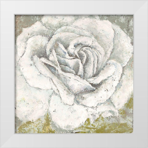 White Rose Blossom Square White Modern Wood Framed Art Print by Cusson, Marie-Elaine