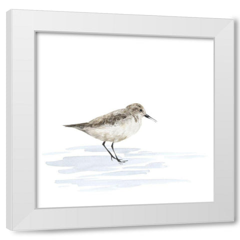 Birds of the Coast on White V White Modern Wood Framed Art Print by Reed, Tara