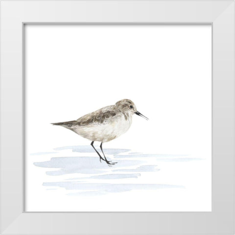 Birds of the Coast on White V White Modern Wood Framed Art Print by Reed, Tara