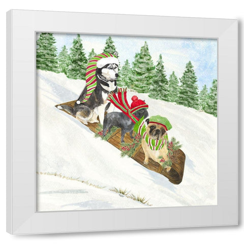 Dog Days of Christmas III-Sledding White Modern Wood Framed Art Print by Reed, Tara
