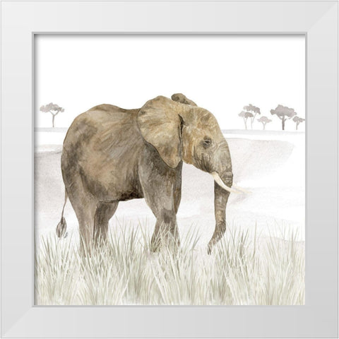 Serengeti Elephant Square White Modern Wood Framed Art Print by Reed, Tara