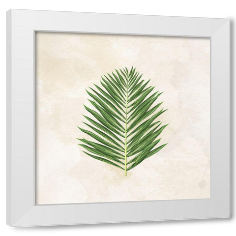 Tropical Leaves II White Modern Wood Framed Art Print by Lee C