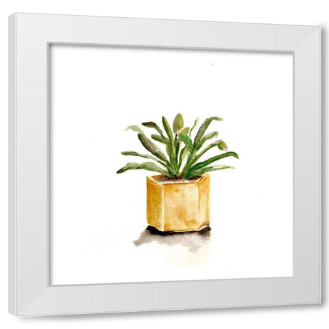 Potted Botanicals II White Modern Wood Framed Art Print by Chapman, Marcy