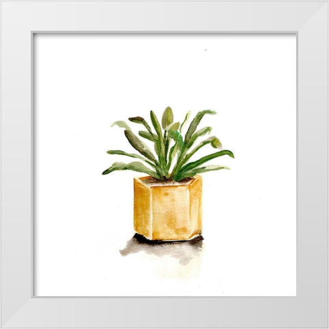 Potted Botanicals II White Modern Wood Framed Art Print by Chapman, Marcy