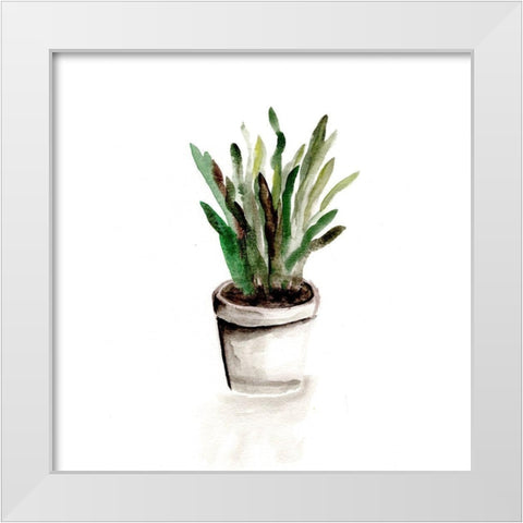 Potted Botanicals III White Modern Wood Framed Art Print by Chapman, Marcy