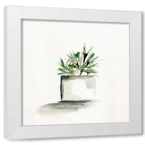 Potted Botanicals IV White Modern Wood Framed Art Print by Chapman, Marcy