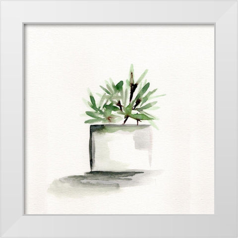 Potted Botanicals IV White Modern Wood Framed Art Print by Chapman, Marcy