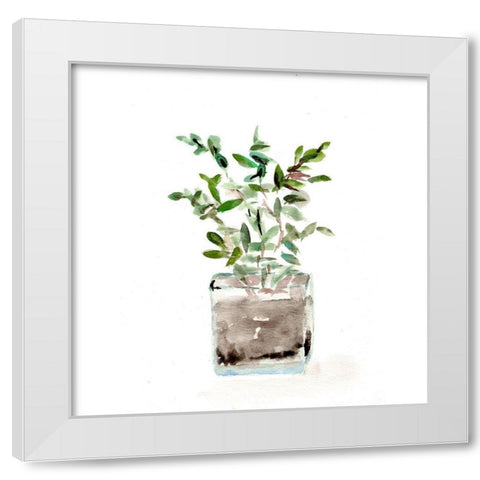 Potted Botanicals V White Modern Wood Framed Art Print by Chapman, Marcy