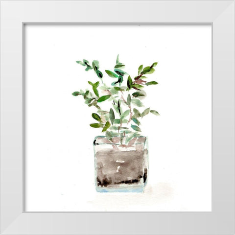 Potted Botanicals V White Modern Wood Framed Art Print by Chapman, Marcy