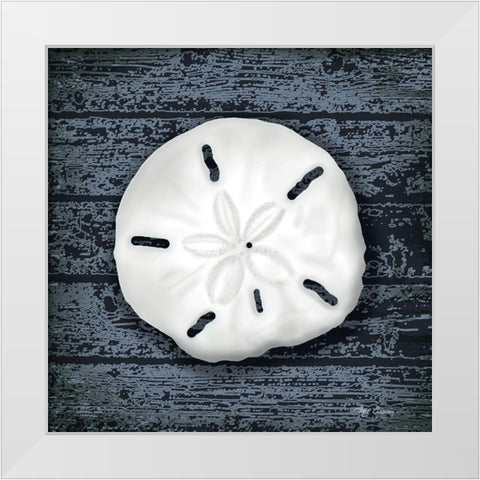 Seashore Shells Navy II White Modern Wood Framed Art Print by Cusson, Marie Elaine