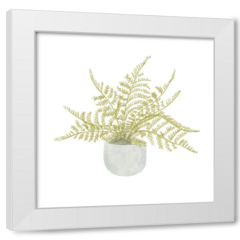 Potted Fern I White Modern Wood Framed Art Print by Bannarot