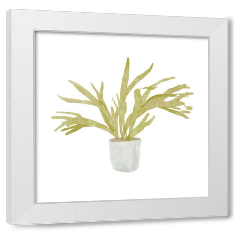 Potted Fern II White Modern Wood Framed Art Print by Bannarot