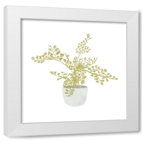 Potted Fern III White Modern Wood Framed Art Print by Bannarot