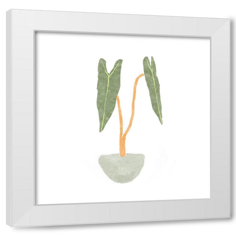 Philodendron Billietiae I White Modern Wood Framed Art Print by Bannarot