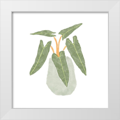 Philodendron Billietiae II White Modern Wood Framed Art Print by Bannarot