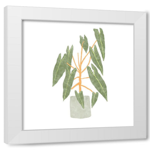 Philodendron Billietiae III White Modern Wood Framed Art Print by Bannarot