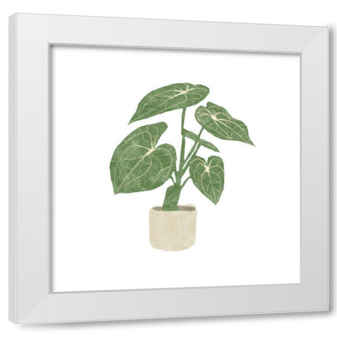 Philodendron Gloriosum II White Modern Wood Framed Art Print by Bannarot