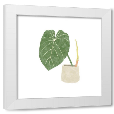 Philodendron Gloriosum V White Modern Wood Framed Art Print by Bannarot