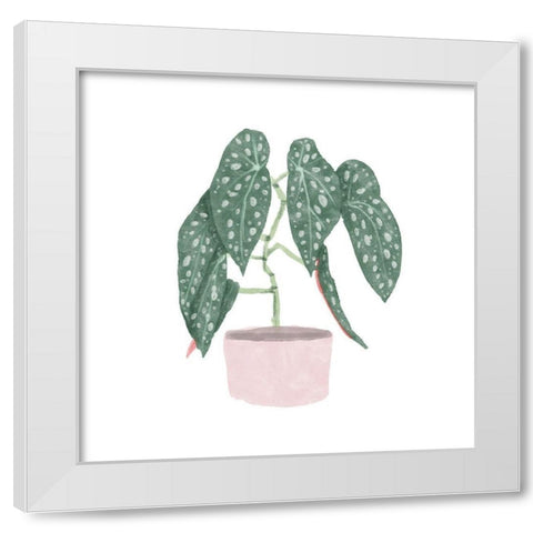 Polka Dot Begonia III White Modern Wood Framed Art Print by Bannarot