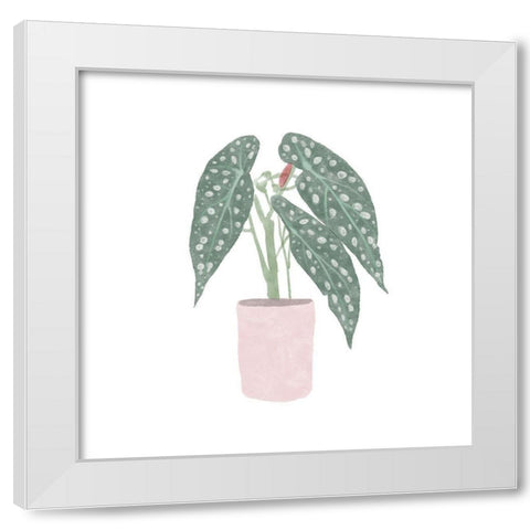 Polka Dot Begonia V White Modern Wood Framed Art Print by Bannarot