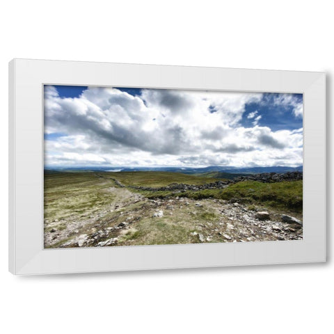 Looking  Out White Modern Wood Framed Art Print by Bay, Noah