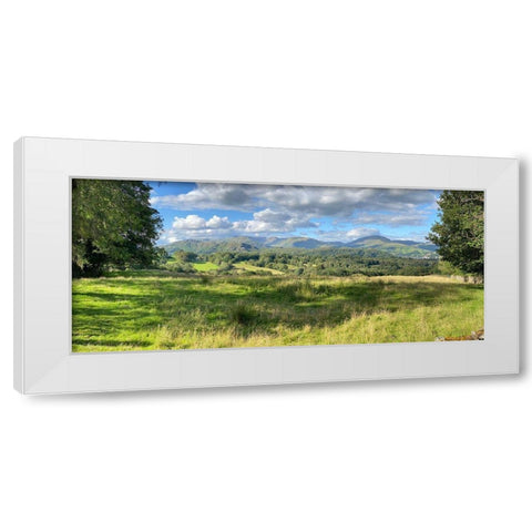 Fresh  Perspective White Modern Wood Framed Art Print by Bay, Noah