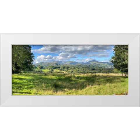 Fresh  Perspective White Modern Wood Framed Art Print by Bay, Noah