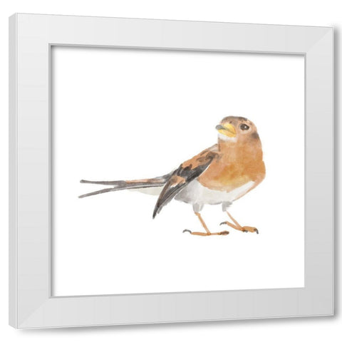 Songbird  V White Modern Wood Framed Art Print by Bannarot