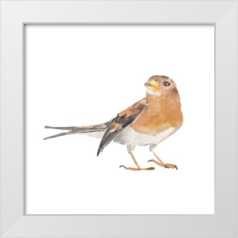 Songbird  V White Modern Wood Framed Art Print by Bannarot