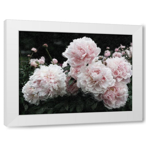 Peony  Poetry I White Modern Wood Framed Art Print by Cusson, Marie Elaine