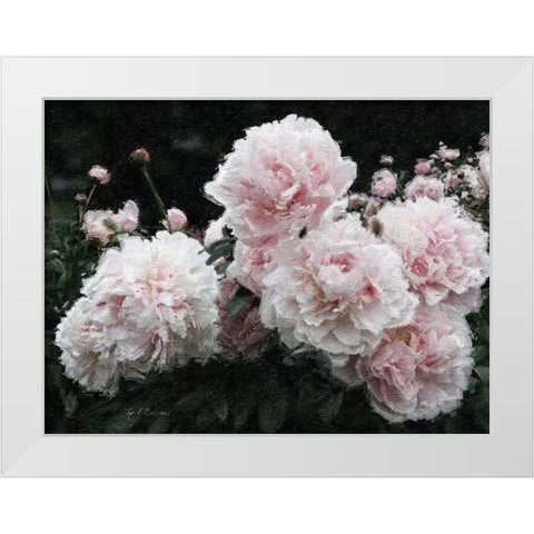 Peony  Poetry I White Modern Wood Framed Art Print by Cusson, Marie Elaine